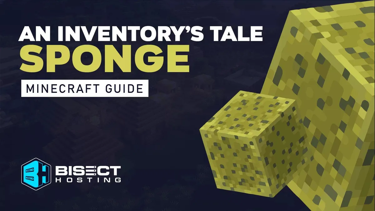 An Inventory's Tale: Sponge — cover image