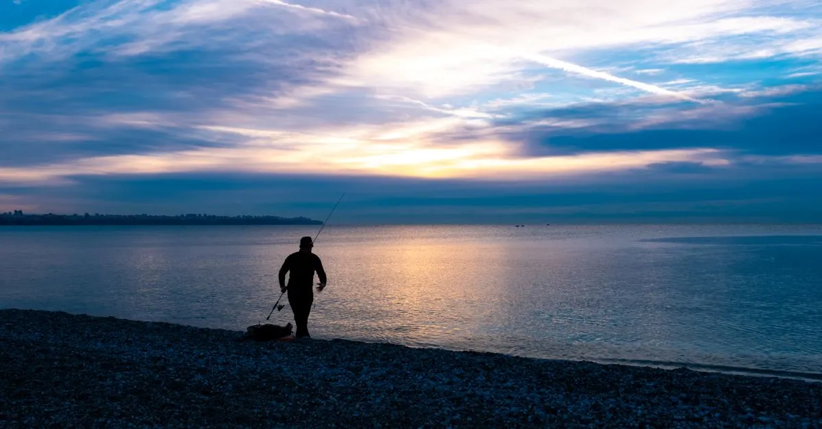 Beginner's Guide: What to Do First — cover image