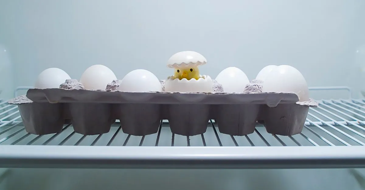 How to Hatch Eggs Fast — cover image