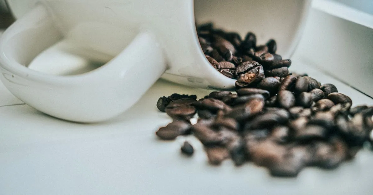 Java Snapshot 1.19 Pre-Release 1 Changes, Updates, and Bug Fixes — cover image