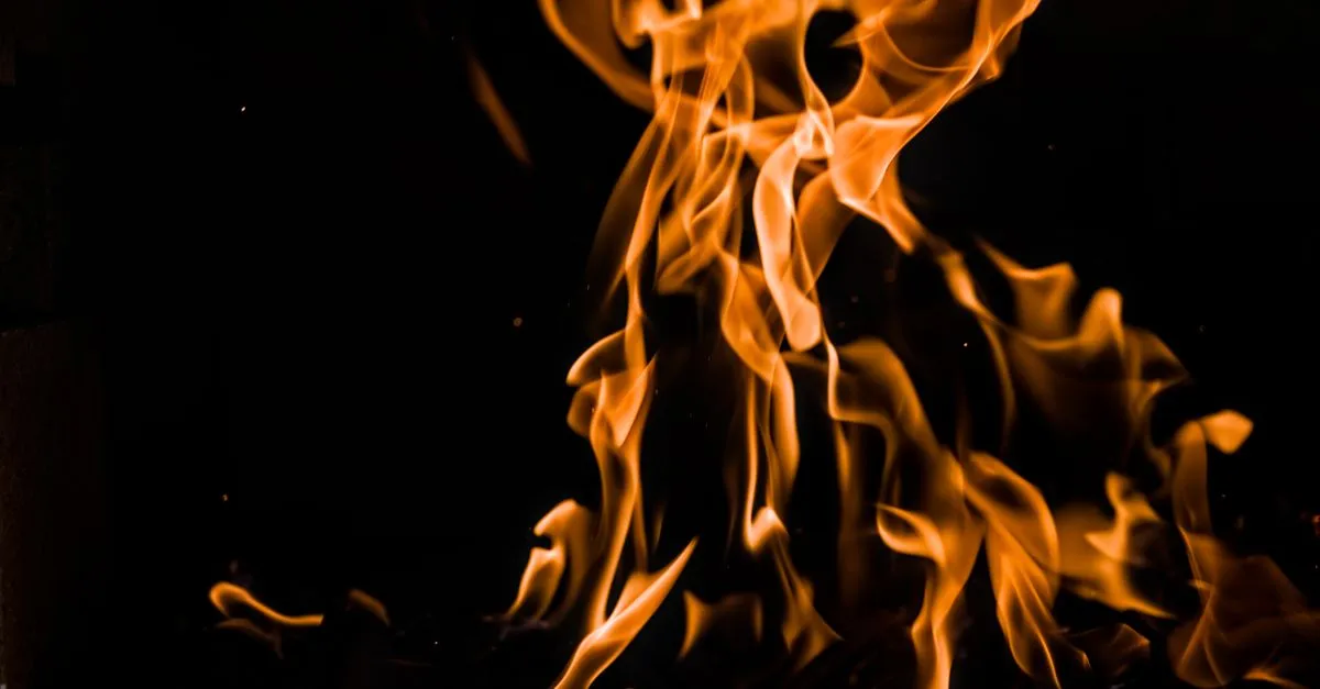 List of Fire Element Type Pals — cover image