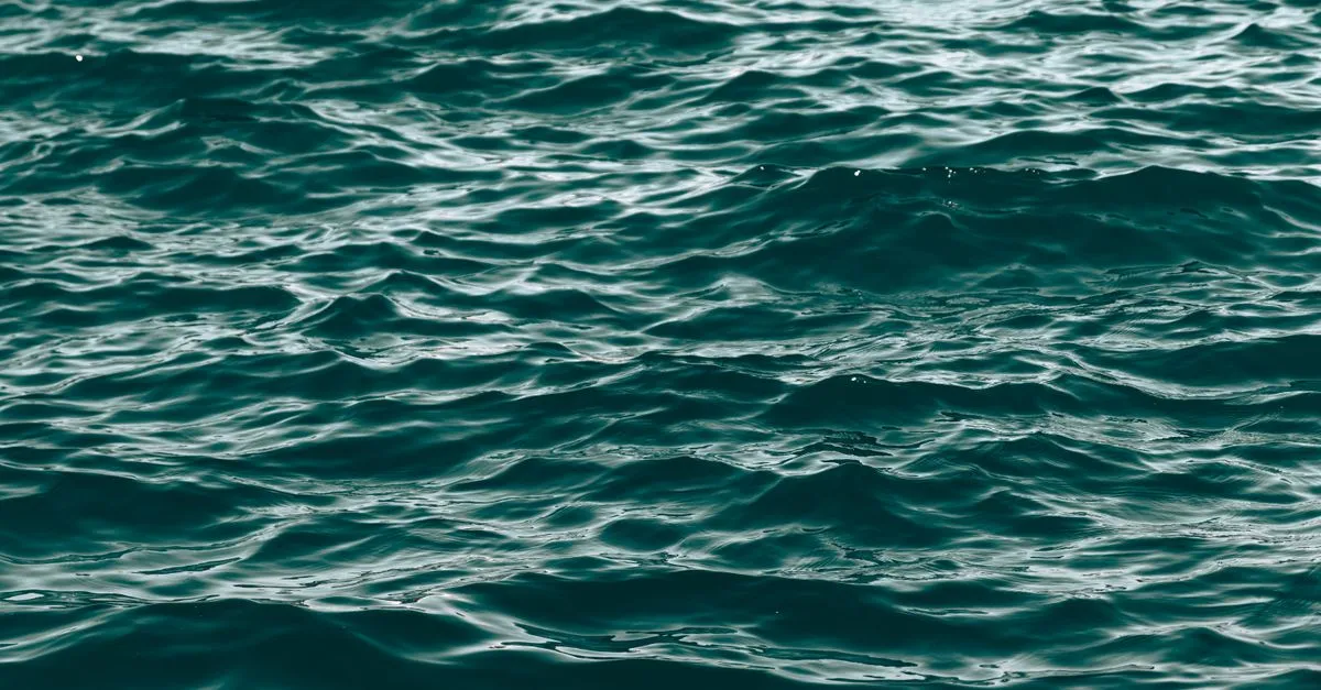 List of Water Element Type Pals — cover image